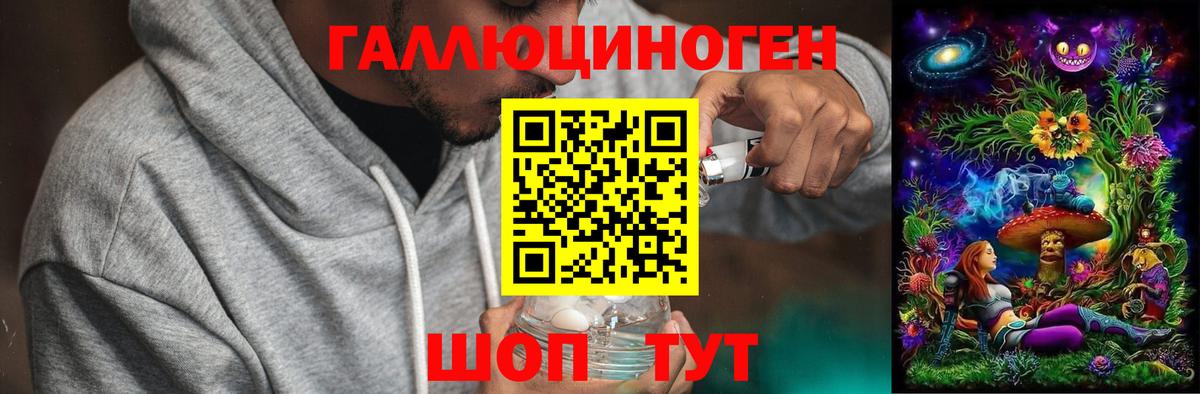 Улан-Удэ  Галлюциногенные грибы прущие грибы  Вход с VPN 